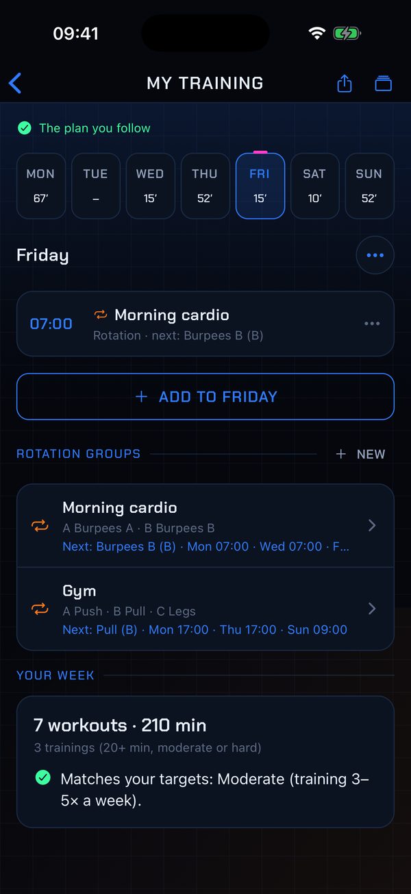 The workout plan: a morning cardio rotation and a Push, Pull, Legs gym rotation